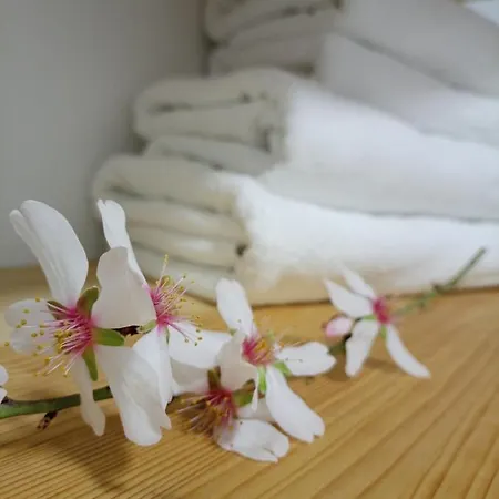 El Sentir De Parking Incluido Apartamento *