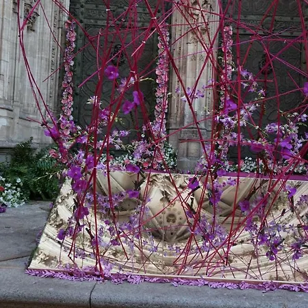 El Sentir De Parking Incluido 아파트