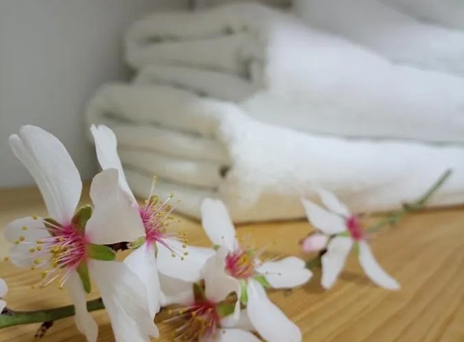 El Sentir De Parking Incluido 아파트 *